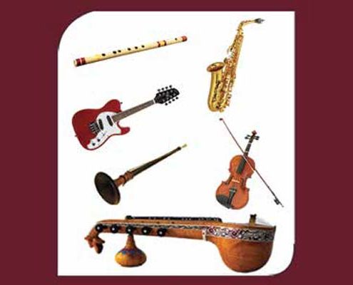 The status of Carnatic instrumental music today